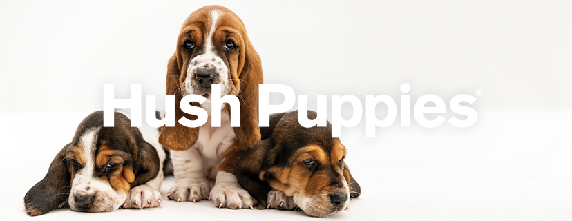 Hush puppy shoes on sale dog